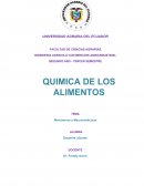 Monomeros y Macromoleculas