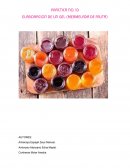 Practica de quimica: elaboracion de una mermelada