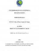 Visita museo amantes de sumpa analisis de los difuntos