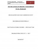 Practico TECNICATURA EN HIGINE Y SEGURIDAD EN EL TRABAJO