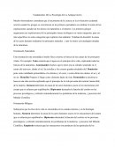 Cuales son los Fundamentos de la psicologia en la antigua gracia