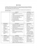 BIG COLA EL PRESENTE TRABAJO SOLO ESTA BASADO EN EL PRODUCTO BIG COLA