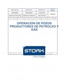 OPERACIÓN DE POZOS PRODUCTORES DE PETROLEO Y GAS