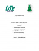 La misión de Bimbo es ser la empresa líder en comercialización de productos