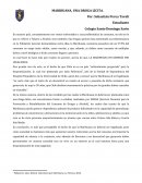 MARIHUANA, UNA DROGA LÍCITA