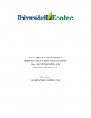 LAS FUNCIONES ESTATALES