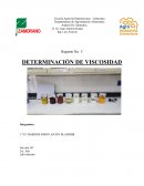 PRACTICA DE DETERMINACIÓN DE VISCOSIDAD