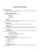 Apuntes de procesal Laboral