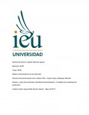 Actividad de Aprendizaje Análisis de los sistemas de producción