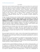 Los valores ¿Qué son los valores?