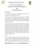 Ecosistemas En el video que vimos trataba sobre la pesca ilegal de especies marinas en los últimos años se encontraran especies en extinción.