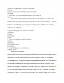 Tejidos que transporta agua y minerales es una planta