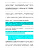 Ensayo final de internet