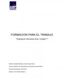 CUAL ES LA FORMACION PARA EL TRABAJO HABILIDADES