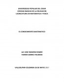 CUAL ES LA CONSTRUCCIÓN DEL CONOCIMIENTO MATEMÁTICO