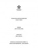 DECISION DE COMPRA DEL CONSUMIDOR