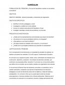 CURRÍCULUM FORMULACION DEL PROBLEMA: ¿Por qué es importante el cambio en los diseños curriculares?