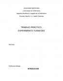 Cuales son los aspectos de los Experimento Tuskegee