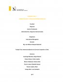 WORKING ADULT ADMINSTRACIÓN Y NEGOCIOS INTERNACIONALES