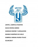 MANEJO HIGIÉNICO DE HIELO