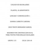 Construcción de textos RESUMEN POR CONSTRUCCION DE EL TEMA TEXTOS FUNCIONALES ESCOLARES