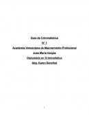 GUIA DE INVESTIGACION CRIMINAL