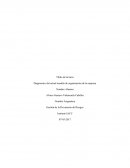 Diagnostico del actual modelo de organización de la empresa