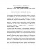 ENSAYO PROCESOS DE DEGRADACIÓN DEL SUELO