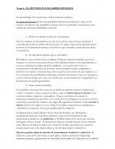 Tema 0 - EL MÉTODO EN LOS SABERES HUMANOS