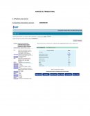 AVANCE DEL TRABAJO FINAL Estadísticas de Importación/ Exportación y producción de Perú