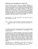 IMPORTANCIA DE LAS MICORRIZAS EN LA AGRICULTURA