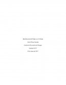 Identificación del Peligro en el Trabajo Gestión de Prevención de Riesgos