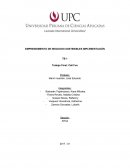 EMPRENDIMIENTO DE NEGOCIOS SOSTENIBLES IMPLEMENTACIÓN