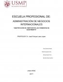 Administración de negocios internacionales. Identificación de mercado de las conservas de Aguaymanto