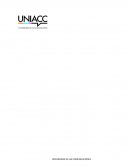 ¿Cuál es la solución adaptativa que se plantea en el caso Google?