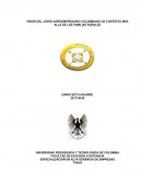 Un ensayo sobre Entorno socioeconomico