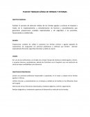 EN QUE CONSISTE EL PLAN DE TRABAJO CLÍNICA DE HERIDAS Y ESTOMAS