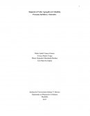 Impuesto al valor agregados en Colombia