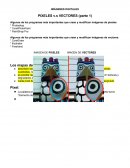 IMAGEN DE PIXELES IMAGEN DE VECTORES