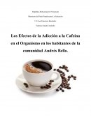 Un Ensayo de Los Efectos de la Adicción a la Cafeína en el Organismo en los habitantes de la comunidad Andrés Bello