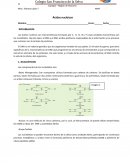 EL ADN TRADUCCION Y TRANSICION