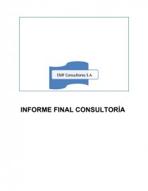 UN INFORME FINAL CONSULTORÍA. Página 1