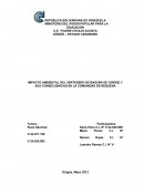 El nuevo Proyecto CAES