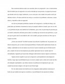 Necesito entrar ¿Qué es la migración?