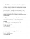 Realizamos un experimento sobre las mezclas homogéneas para saber aún más sobre ellas y aquí están nuestros resultados