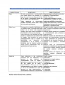 COMPETENCIAS SIGNIFICADO CARACTERISTICAS