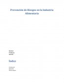 Prevención de Riesgos en la Industria Alimentaria