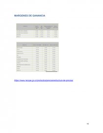 IDEA DE PROYECTO: ESTACION DE SERVICIO LA GUACIMA. Página 14