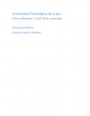 Filete de Merluza sobre puré de coliflor y salsa Mexicana