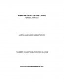 LA DETERMINACION COMUNICACIÓN EXTERNA O INTERNA